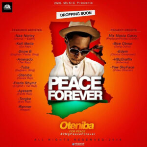 DOWNLOAD MP3: Nuru Shabba  - Oteniba For Peace ft All Stars 