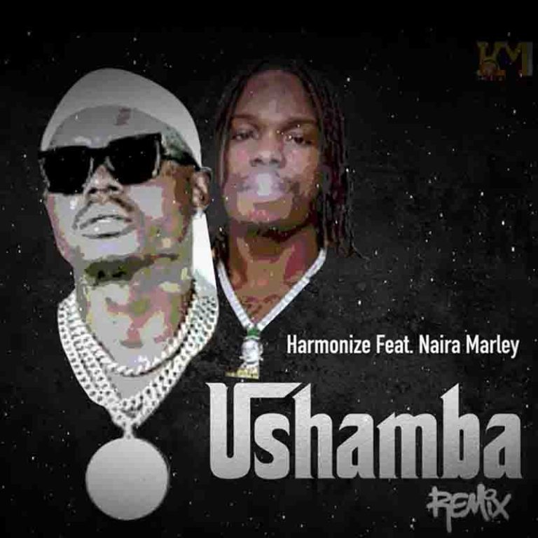 Harmonize – Ushamba Remix Ft Naira Marley